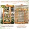 6.2 FT Tall Patio Garden Arbor with Pergola and 2-Seat Bench for Garden Lawn Backyard Decoration